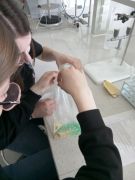  Akademia Nauk Stosowanych w Łomży